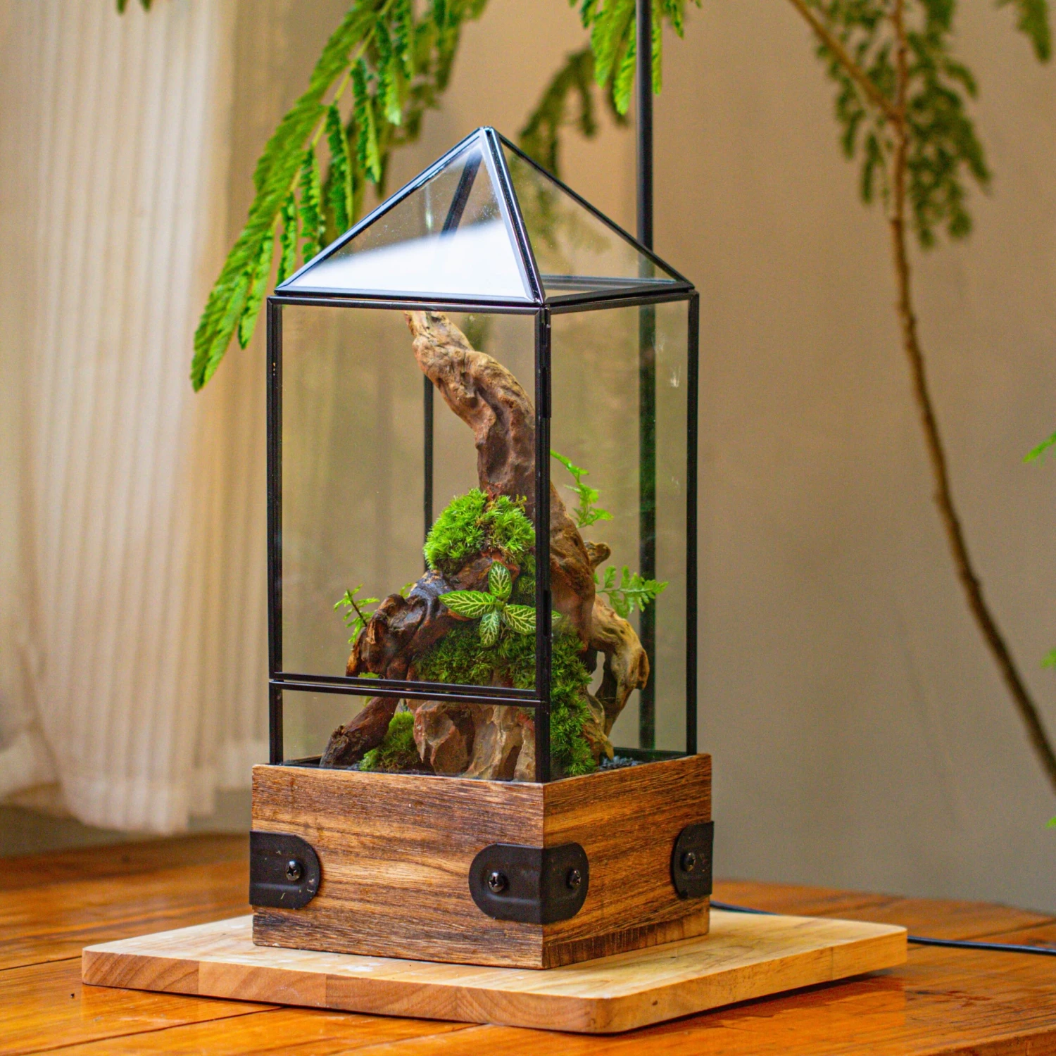 Handmade Glass Terrarium With Wood Base, Pyramid Shape Planter With Door, With LED Wood Lamp Base For Plants, Moss Landscapes, Plant Lover Gift 1 Handmade Glass Terrarium With Wood Base, Pyramid Shape Planter With Door, With LED Wood Lamp Base For Plants, Moss Landscapes, Plant Lover Gift