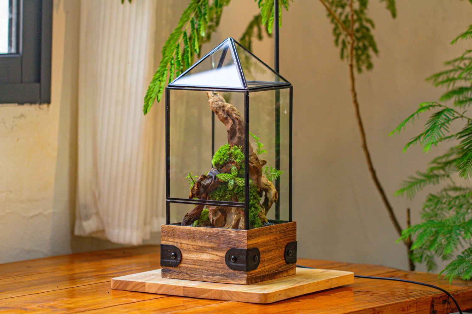 Handmade Glass Terrarium With Wood Base, Pyramid Shape Planter With Door, With LED Wood Lamp Base For Plants, Moss Landscapes, Plant Lover Gift 7 Handmade Glass Terrarium With Wood Base, Pyramid Shape Planter With Door, With LED Wood Lamp Base For Plants, Moss Landscapes, Plant Lover Gift - Image 7
