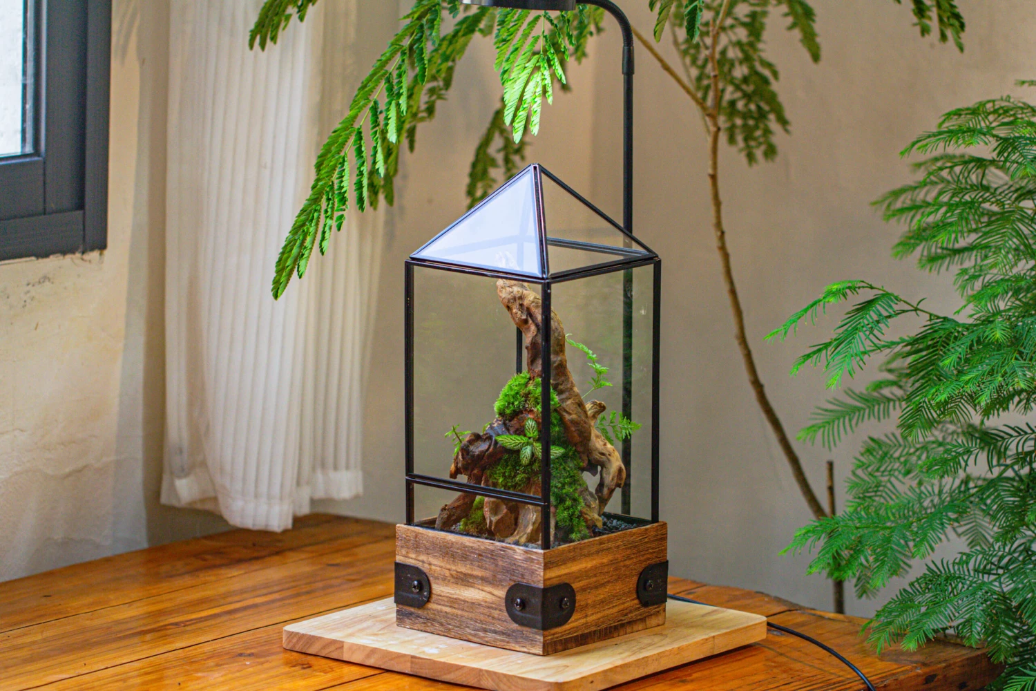 Handmade Glass Terrarium With Wood Base, Pyramid Shape Planter With Door, With LED Wood Lamp Base For Plants, Moss Landscapes, Plant Lover Gift 11 Handmade Glass Terrarium With Wood Base, Pyramid Shape Planter With Door, With LED Wood Lamp Base For Plants, Moss Landscapes, Plant Lover Gift - Image 11