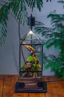Handmade Glass Terrarium With Wood Base, Pyramid Shape Planter With Door, With LED Acrylic Lamp Base For Plants, Moss Landscapes, Plant Lover Gift -Ncyp Garden Sale Shop IMG 4483
