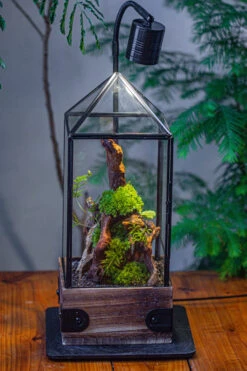 Handmade Glass Terrarium With Wood Base, Pyramid Shape Planter With Door, With LED Acrylic Lamp Base For Plants, Moss Landscapes, Plant Lover Gift -Ncyp Garden Sale Shop IMG 4491 b2ad98de ebf0 4525 985c 1b07dc2b28e8