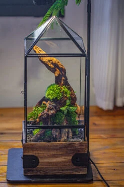 Handmade Glass Terrarium With Wood Base, Pyramid Shape Planter With Door, With LED Acrylic Lamp Base For Plants, Moss Landscapes, Plant Lover Gift -Ncyp Garden Sale Shop IMG 4492