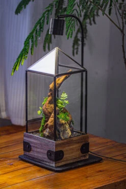 Handmade Glass Terrarium With Wood Base, Pyramid Shape Planter With Door, With LED Acrylic Lamp Base For Plants, Moss Landscapes, Plant Lover Gift -Ncyp Garden Sale Shop IMG 4500 22491ed6 4013 468b 9978 22d608b549c0