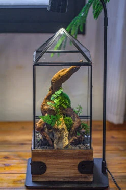 Handmade Glass Terrarium With Wood Base, Pyramid Shape Planter With Door, With LED Acrylic Lamp Base For Plants, Moss Landscapes, Plant Lover Gift -Ncyp Garden Sale Shop IMG 4501 e716292d 4a79 488f 86da 982404314d67