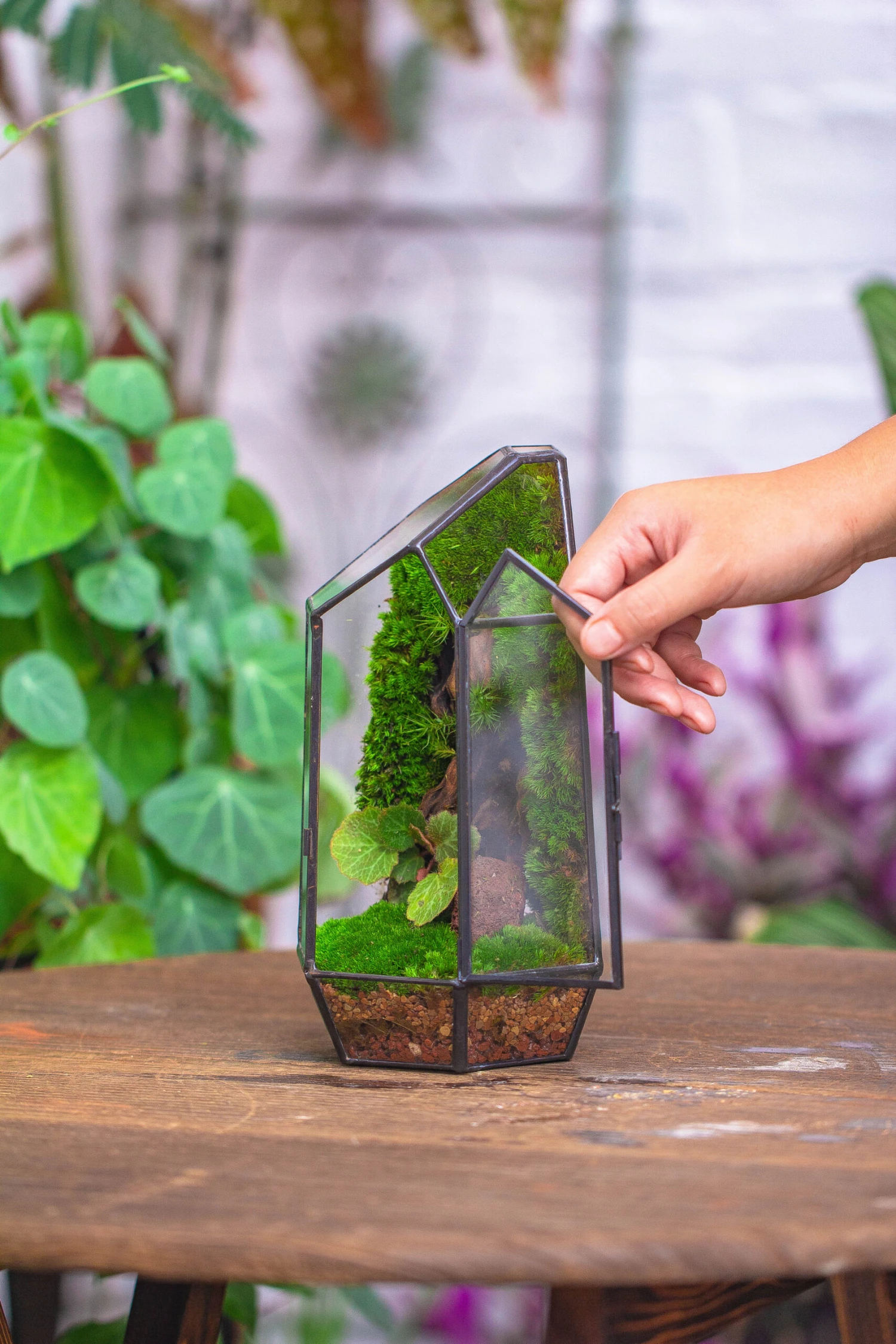 NCYP 8.66" Height Closed Irregular Glass Terrarium With Door Succulent Planter Geometric Flower Plant Pot Tabletop Small Bonsai 16 NCYP 8.66" Height Closed Irregular Glass Terrarium With Door Succulent Planter Geometric Flower Plant Pot Tabletop Small Bonsai - Image 16