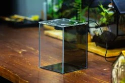 Watertight Glass Terrarium With LED Grow Light, Acrylic Lid For Moss Wall, Vertical Planting-12x12x18cm / 4.7x4.7x7.1'' -Ncyp Garden Sale Shop IMG 4769 e5ba8495 4fb2 486c b8e0 096768cb7db0