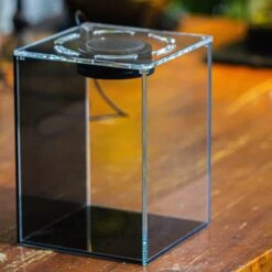 Watertight Glass Terrarium With LED Grow Light, Acrylic Lid For Moss Wall, Vertical Planting -15x15x20cm / 5.9x5.9x7.8 -Ncyp Garden Sale Shop IMG 4777 1