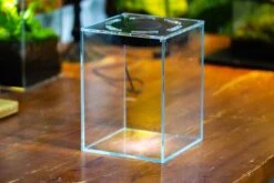 Watertight Glass Terrarium With LED Grow Light, Acrylic Lid For Carnivorous Plants-20x20x20cm / 7.8x7.8x7.8'' -Ncyp Garden Sale Shop IMG 4779 5e4f12da b74c 488e 8b98 1b444b2c84b8 14