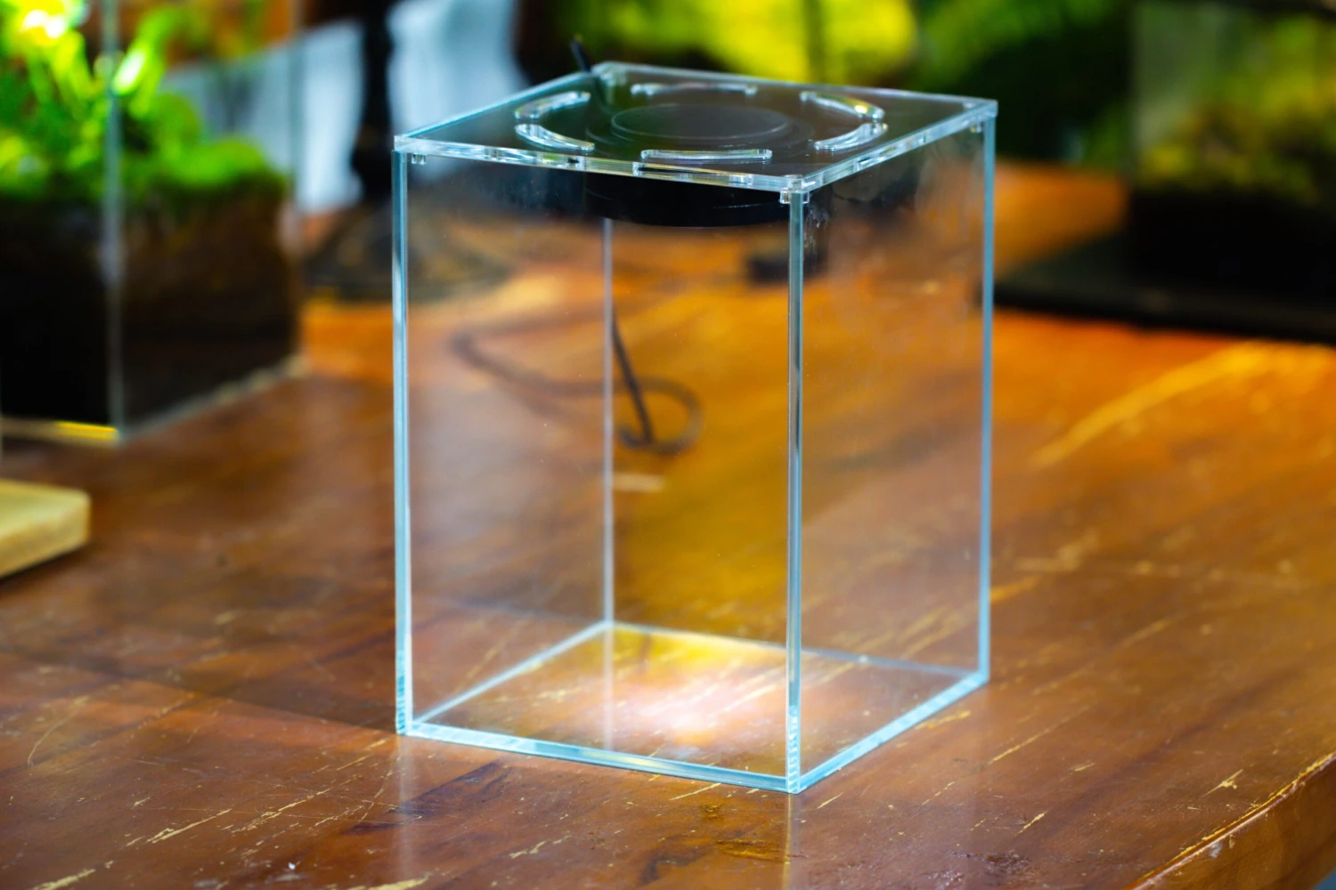 Watertight Glass Tank With LED Grow Light, Acrylic Lid, DIY Terrarium Kit- 25x25x30cm / 9.8x9.8x11.8'' 13 Watertight Glass Tank With LED Grow Light, Acrylic Lid, DIY Terrarium Kit- 25x25x30cm / 9.8x9.8x11.8'' - Image 13