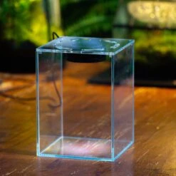 Watertight Glass Tank With LED Grow Light, Acrylic Lid, DIY Terrarium Kit-15x15x20cm / 5.9x5.9x7.8'' 29 Watertight Glass Tank With LED Grow Light, Acrylic Lid, DIY Terrarium Kit-15x15x20cm / 5.9x5.9x7.8'' -Ncyp Garden Sale Shop IMG 4781 1 bf973282 48ce 4715 92c1 5b722c8731e2 9