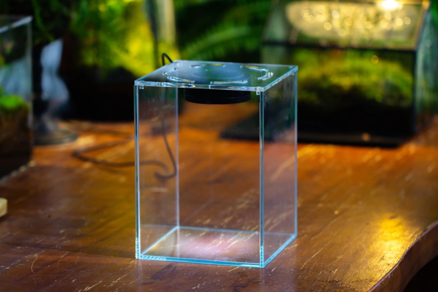Watertight Glass Tank With LED Grow Light, Acrylic Lid, DIY Terrarium Kit- 25x25x30cm / 9.8x9.8x11.8'' 14 Watertight Glass Tank With LED Grow Light, Acrylic Lid, DIY Terrarium Kit- 25x25x30cm / 9.8x9.8x11.8'' - Image 14