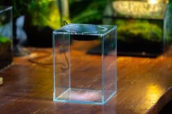 Watertight Glass Tank , Acrylic Lid, Terrarium Kit For Tropical Plants-25x25x30cm / 9.8x9.8x11.8'' -Ncyp Garden Sale Shop IMG 4781 e14eda37 2b20 44bf 9c03 6e8529ad4a91 5