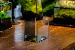 Watertight Glass Terrarium With LED Grow Light, Acrylic Lid For Moss Wall, Vertical Planting -15x11x13cm / 5.9x4.3x5.1'' -Ncyp Garden Sale Shop IMG 4794 8e5b664e c0fb 43ca a097 2750759e6d78
