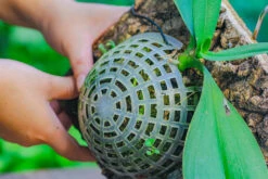 Dried Moss, 24L For DIY, Terrarium Building, Microlandscape, Orchid, Fern, Vertical Gardening 29 Dried Moss, 24L For DIY, Terrarium Building, Microlandscape, Orchid, Fern, Vertical Gardening -Ncyp Garden Sale Shop IMG 4939 287b6c55 1514 47cb 8d9a c38d68cea572