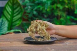 Dried Moss, 24L For DIY, Terrarium Building, Microlandscape, Orchid, Fern, Vertical Gardening 23 Dried Moss, 24L For DIY, Terrarium Building, Microlandscape, Orchid, Fern, Vertical Gardening -Ncyp Garden Sale Shop IMG 5024