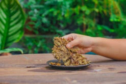 Dried Moss, 24L For DIY, Terrarium Building, Microlandscape, Orchid, Fern, Vertical Gardening 24 Dried Moss, 24L For DIY, Terrarium Building, Microlandscape, Orchid, Fern, Vertical Gardening -Ncyp Garden Sale Shop IMG 5025