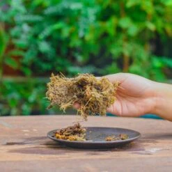 Dried Moss, 24L For DIY, Terrarium Building, Microlandscape, Orchid, Fern, Vertical Gardening