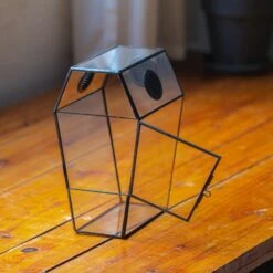 Coffin-Shaped Tin Glass Terrarium Enclosure, Gothic Style, For Jumping Spider, Insects, Snails