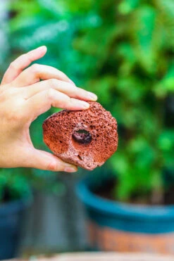 5-8cm Red Horticultural Lava Rock Volcanic Rock For Terrarium, Bonsai Landscape, 500g -Ncyp Garden Sale Shop IMG 5143