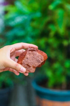 5-8cm Red Horticultural Lava Rock Volcanic Rock For Terrarium, Bonsai Landscape, 500g -Ncyp Garden Sale Shop IMG 5145