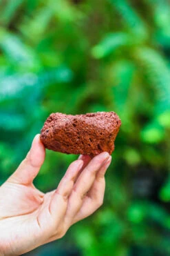 5-8cm Red Horticultural Lava Rock Volcanic Rock For Terrarium, Bonsai Landscape, 500g -Ncyp Garden Sale Shop IMG 5148