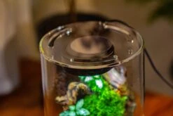 Large Cylinder Terrarium With LED Grow Lamp, Acrylic Lid Set For Bog, Carnivorous Plants -15x30cm -Ncyp Garden Sale Shop IMG 5212