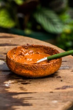 Rain Forest Sticky Red Clay For DIY Moss Wall, Plant Moss / Plants On The Wall, Vertical Landscape, Vivarium, Terrarium -Ncyp Garden Sale Shop IMG 5242