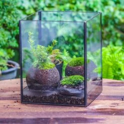 NCYP Watertight Open Geometric Glass Tin Terrarium, For Small Waterpond, Bog, Moss Landscape, Water Pond, Carnivorous Plants
