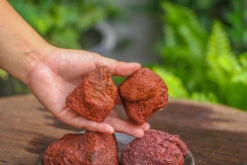 5-8cm Red Horticultural Lava Rock Volcanic Rock For Terrarium, Bonsai Landscape, 500g -Ncyp Garden Sale Shop IMG 5291