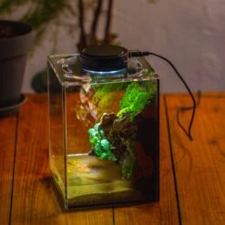 Watertight Glass Terrarium With LED Grow Light, Acrylic Lid For Moss Wall, Vertical Planting -15x15x20cm / 5.9x5.9x7.8 -Ncyp Garden Sale Shop IMG 5297 7eb0f9f4 df12 475e a438 5bceb950cff7