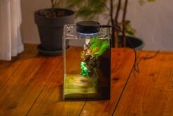 Watertight Glass Terrarium With LED Grow Light, Acrylic Lid For Moss Wall, Vertical Planting -15x15x20cm / 5.9x5.9x7.8 -Ncyp Garden Sale Shop IMG 5298 28bdf5be fc28 48f4 aaa3 e9b55ebad52d