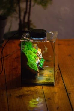 Watertight Glass Terrarium With LED Grow Light, Acrylic Lid For Moss Wall, Vertical Planting -15x15x20cm / 5.9x5.9x7.8 -Ncyp Garden Sale Shop IMG 5299 2 a307f72e 9533 4f76 91e1 ee455e2a811a