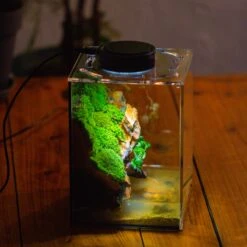 Watertight Glass Terrarium With LED Grow Light, Acrylic Lid For Moss Wall, Vertical Planting -15x15x20cm / 5.9x5.9x7.8 -Ncyp Garden Sale Shop IMG 5299 97147e02 79a9 4542 95ed e3148e66a19b