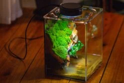 Watertight Glass Terrarium With LED Grow Light, Acrylic Lid For Moss Wall, Vertical Planting -15x15x20cm / 5.9x5.9x7.8 -Ncyp Garden Sale Shop IMG 5300 21ac1811 587f 4836 9dec c5fae795db08