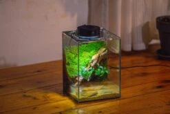 Watertight Glass Terrarium With LED Grow Light, Acrylic Lid For Moss Wall, Vertical Planting -15x15x20cm / 5.9x5.9x7.8 -Ncyp Garden Sale Shop IMG 5302 5bcee5a0 2f9e 4c61 b452 3696db9340e5
