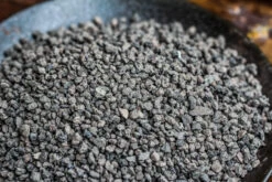 Porous Black Horticultural Lava Rocks, For Terrarium Drainage Control, The Bottom Layer Of The Moss Terrarium -Ncyp Garden Sale Shop IMG 5310