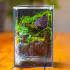 Watertight Glass Terrarium With LED Grow Light, Acrylic Lid For Moss Wall, Vertical Planting-12x12x18cm / 4.7x4.7x7.1'' -Ncyp Garden Sale Shop IMG 5451 2 56c708c3 2efc 4b55 b8e5 d2174e75289a