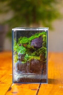 Watertight Glass Terrarium With LED Grow Light, Acrylic Lid For Moss Wall, Vertical Planting-12x12x18cm / 4.7x4.7x7.1'' -Ncyp Garden Sale Shop IMG 5451 f85a6ec9 413e 4454 af8d af60955ff962