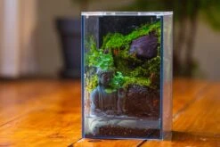 Watertight Glass Terrarium With LED Grow Light, Acrylic Lid For Moss Wall, Vertical Planting-12x12x18cm / 4.7x4.7x7.1'' -Ncyp Garden Sale Shop IMG 5453 9775cc0f ed4b 48f0 a800 4cd409d6c7e0