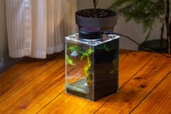 Watertight Glass Terrarium With LED Grow Light, Acrylic Lid For Moss Wall, Vertical Planting-12x12x18cm / 4.7x4.7x7.1'' -Ncyp Garden Sale Shop IMG 5464 a5781471 edad 4707 a1f4 ca28a6a63fdb