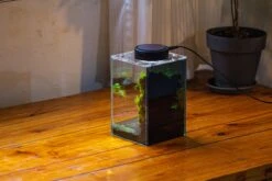 Watertight Glass Terrarium With LED Grow Light, Acrylic Lid For Moss Wall, Vertical Planting-12x12x18cm / 4.7x4.7x7.1'' -Ncyp Garden Sale Shop IMG 5468 f0c0dc71 93ca 4840 88cb 57e8219f7479