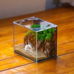 Watertight Glass Terrarium With LED Grow Light, Acrylic Lid For Moss Wall, Vertical Planting -15x11x13cm / 5.9x4.3x5.1'' -Ncyp Garden Sale Shop IMG 5471 2