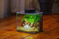 Watertight Glass Terrarium With LED Grow Light, Acrylic Lid For Moss Wall, Vertical Planting -15x11x13cm / 5.9x4.3x5.1'' -Ncyp Garden Sale Shop IMG 5483 a1e989eb 4369 4f61 90e9 8d048bd6786c