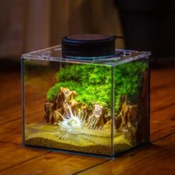 Watertight Glass Terrarium With LED Grow Light, Acrylic Lid For Moss Wall, Vertical Planting -15x11x13cm / 5.9x4.3x5.1'' -Ncyp Garden Sale Shop IMG 5484 2.1