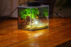 Watertight Glass Terrarium With LED Grow Light, Acrylic Lid For Moss Wall, Vertical Planting -15x11x13cm / 5.9x4.3x5.1'' -Ncyp Garden Sale Shop IMG 5496 4035816a 0b75 44e2 8eb2 28e2133fe3eb