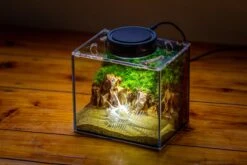 Watertight Glass Terrarium With LED Grow Light, Acrylic Lid For Moss Wall, Vertical Planting -15x11x13cm / 5.9x4.3x5.1'' -Ncyp Garden Sale Shop IMG 5499 2c21caf3 cc45 4161 af55 c3974de4a9e4