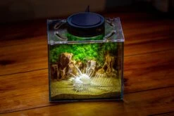 Watertight Glass Terrarium With LED Grow Light, Acrylic Lid For Moss Wall, Vertical Planting -15x11x13cm / 5.9x4.3x5.1'' -Ncyp Garden Sale Shop IMG 5505 168ca1e4 23e0 4cea 96d0 ed6f38f63c5d