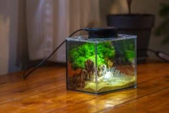 Watertight Glass Terrarium With LED Grow Light, Acrylic Lid For Moss Wall, Vertical Planting -15x11x13cm / 5.9x4.3x5.1'' -Ncyp Garden Sale Shop IMG 5506 6643e0bb 2853 408e 8a36 0ca3f908ba76