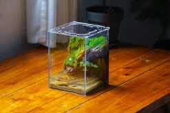 Watertight Glass Terrarium With LED Grow Light, Acrylic Lid For Moss Wall, Vertical Planting -15x15x20cm / 5.9x5.9x7.8 -Ncyp Garden Sale Shop IMG 5622 2 b25abd56 d625 40f6 8b4c e27dccb6c60f