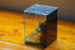 Watertight Glass Terrarium With LED Grow Light, Acrylic Lid For Moss Wall, Vertical Planting -15x15x20cm / 5.9x5.9x7.8 -Ncyp Garden Sale Shop IMG 5623 10b6e7b6 9015 4148 94ff e2e6158d17f5